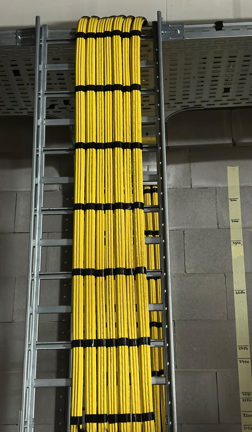 Zes gele Cat6a-bundels op een kabelladder tegen een kalkzandsteenwand